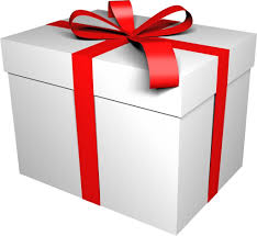Vous êtes à la recherche du meilleur cadeau à offrir pour Noël et vous vous demandez quel cadeau fera le plus plaisir à votre enfant ?